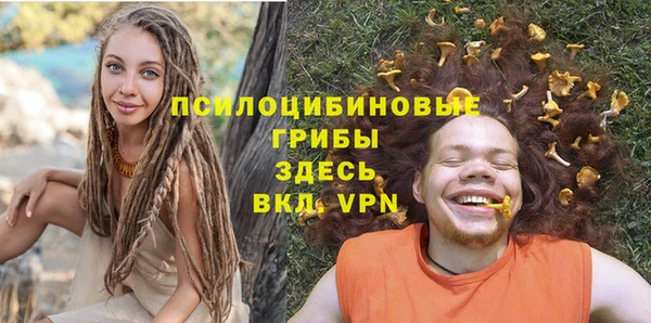 гашик Алзамай