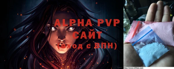 прущие грибы Абинск