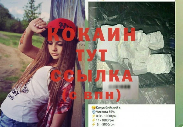 прущие грибы Абинск