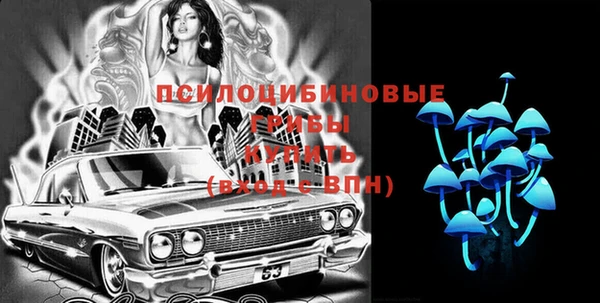ГАЛЛЮЦИНОГЕННЫЕ ГРИБЫ Алексеевка