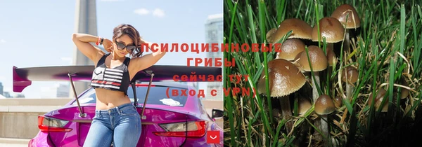 спиды Абдулино