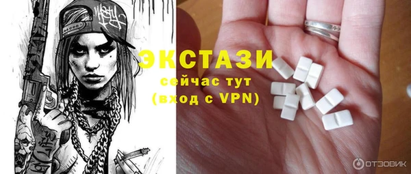 СК Алексин