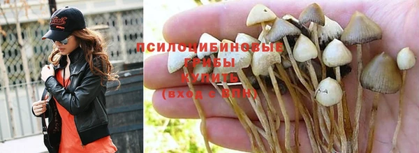 спиды Абдулино